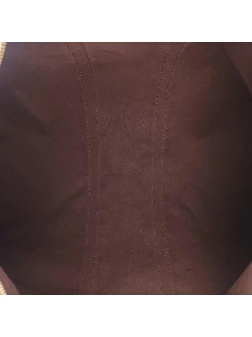 Louis Vuitton brand louis